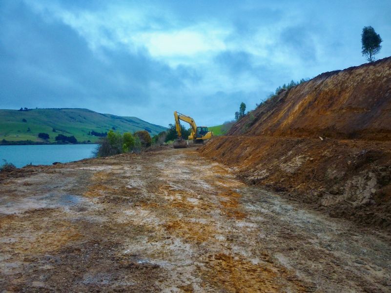 Catlins-Promotions-Catlins-Lake-Project_Clearing