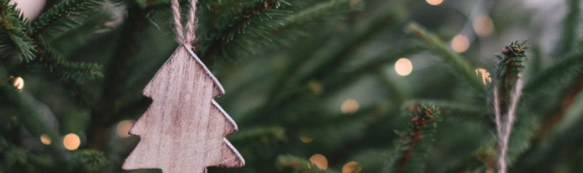 Merry Christmas Otago