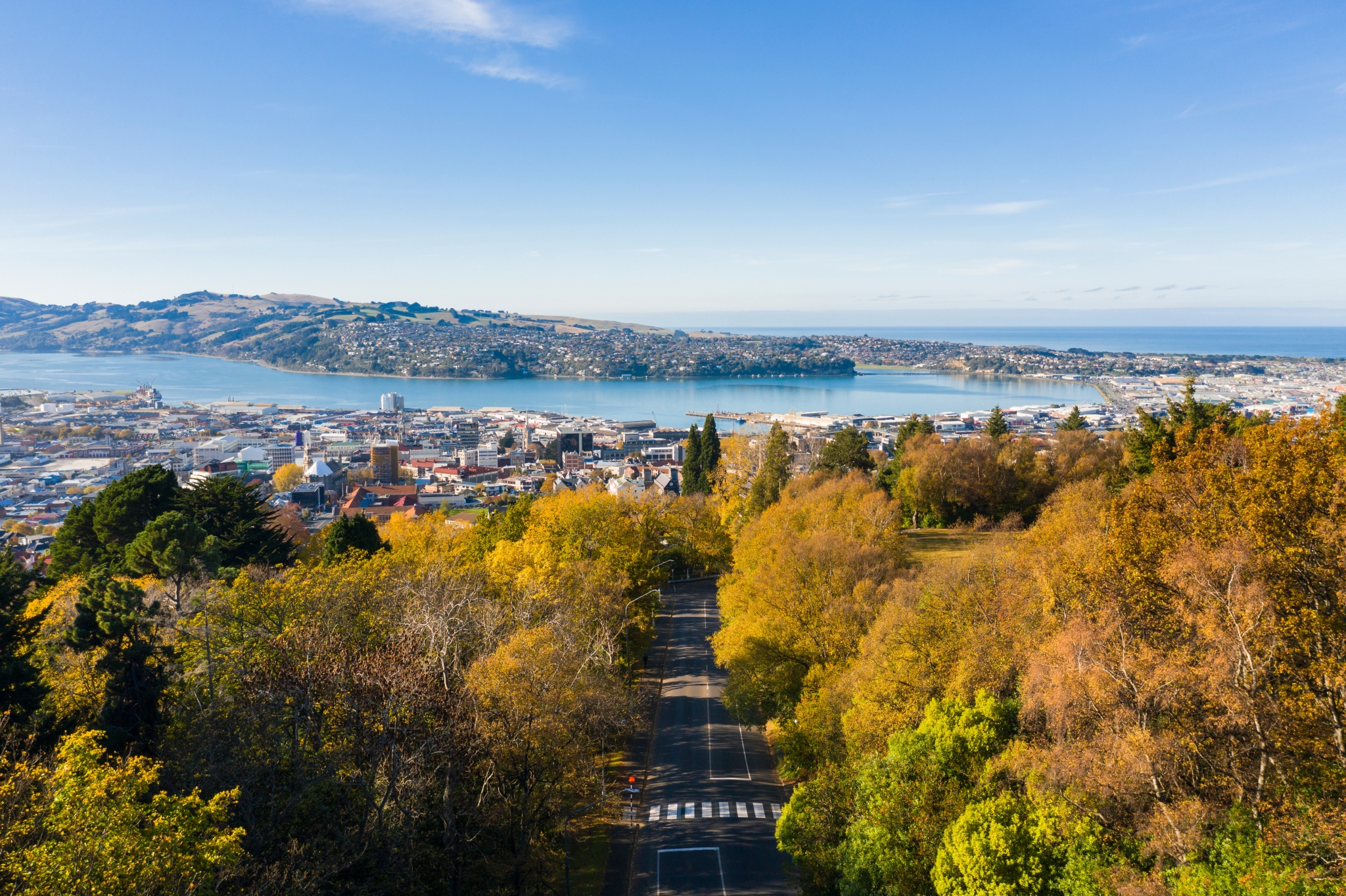 DunedinNZ