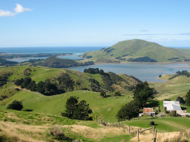 Otago Peninsula Biodiversity Trust 