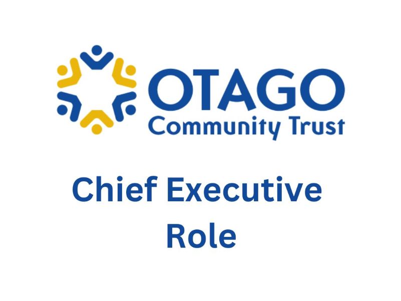 Chief Executive Role
