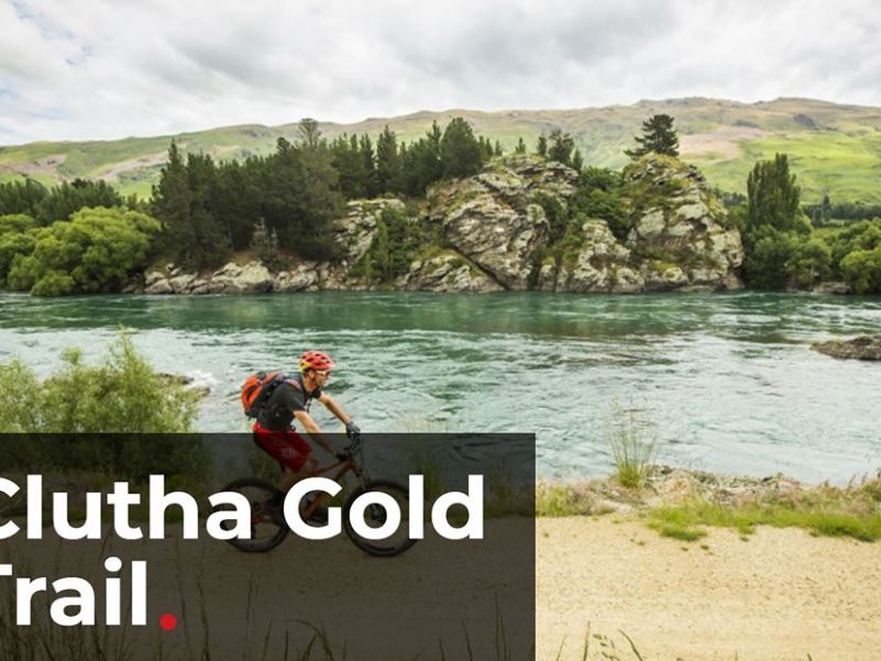 clutha-gold