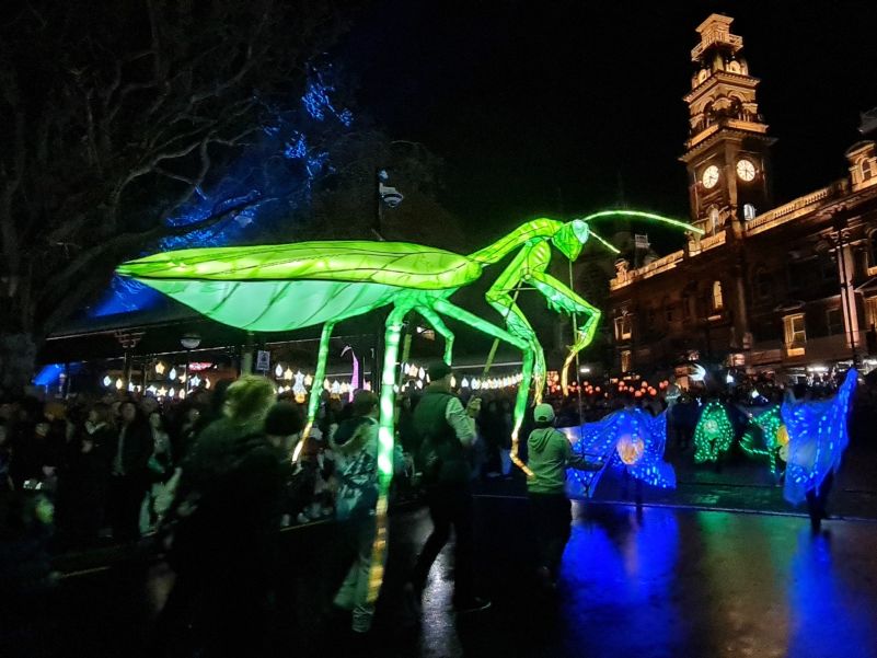 Mid Winter Carnival