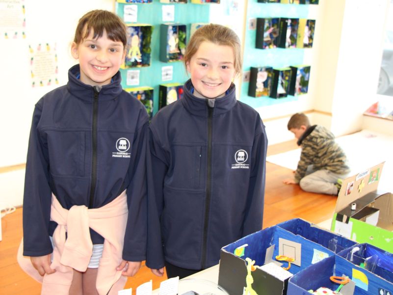 Imaginative hospital initiatives from pupils