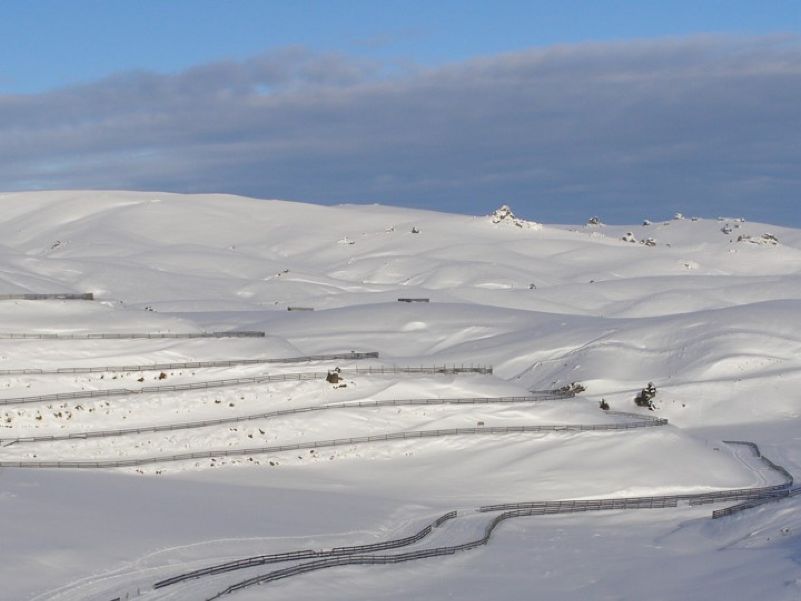 Snow Farm