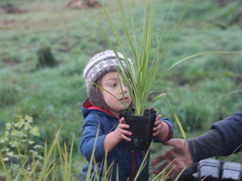 Waitaki Community Gardens